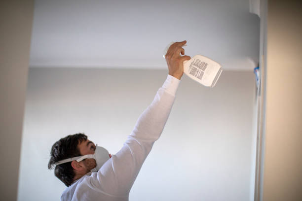 Best Office Mold Removal Services  in West Wareham, MA