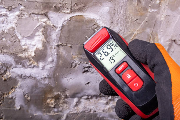Best Toxic Mold Removal  in West Wareham, MA