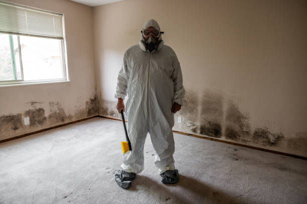 Crawl Space Mold Removal in West Wareham, MA